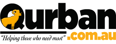 Partner 3